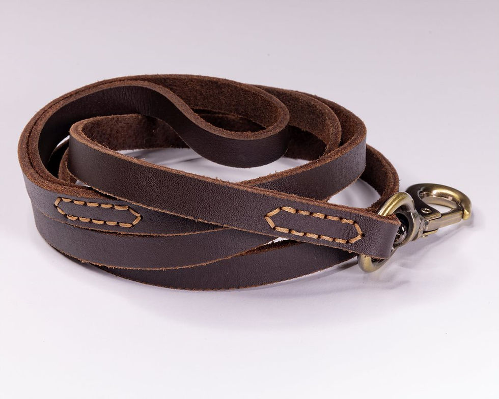 Thumbnail: Leather Small Dog Leash