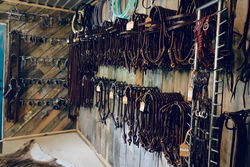 IMG_4005 2-fotor-20250220104415