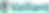 000 VAILLANT LOGO.png