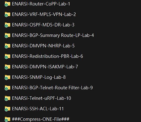 Lab-Exam-Items for CCPN-ENARSI