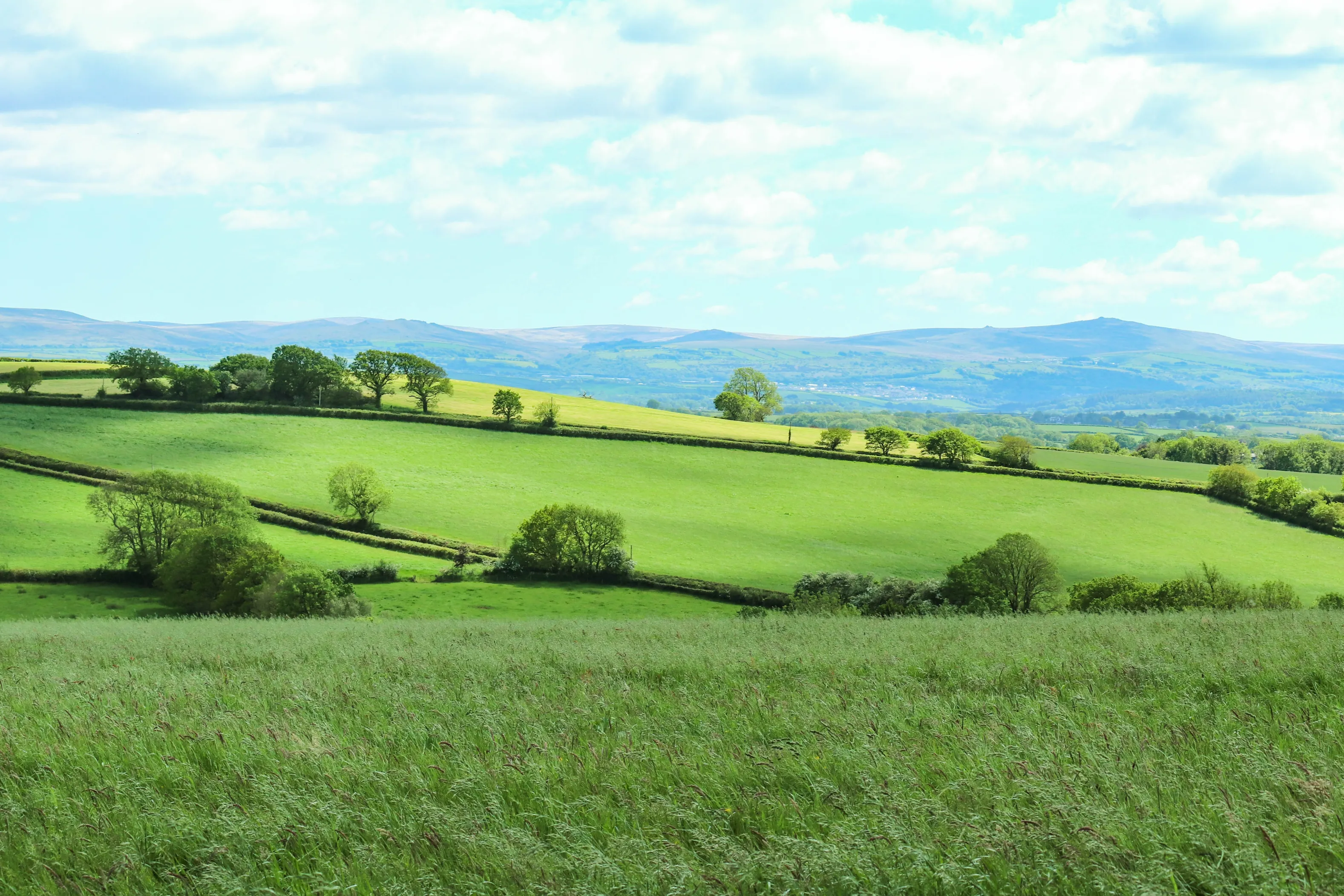 Cullompton countryside
