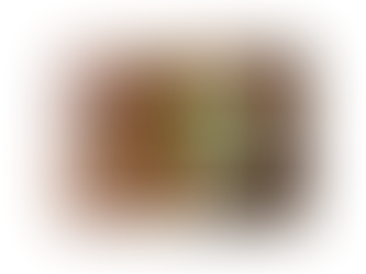 Standard diets fail melanated bodies