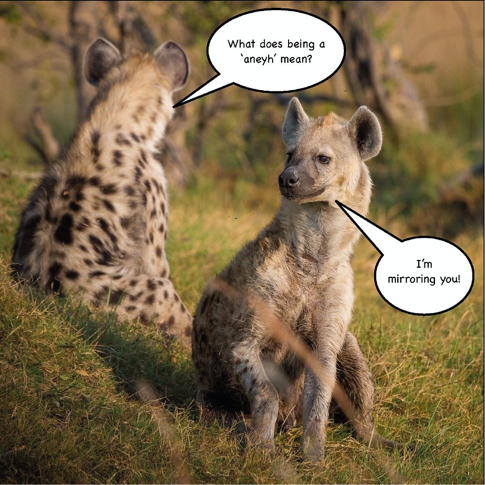 funny hyena pictures
