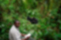 John Kahekwa with two gorillas.jpg