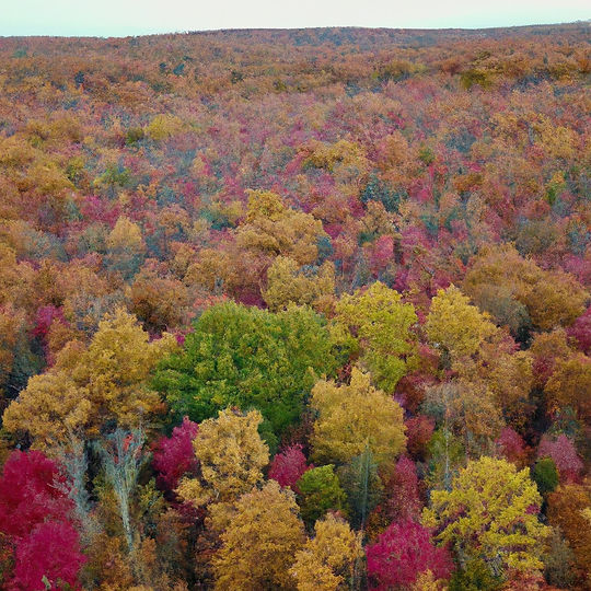 Hiawatha Cabins | cabin rentals upper peninsula michigan | N279 Federal