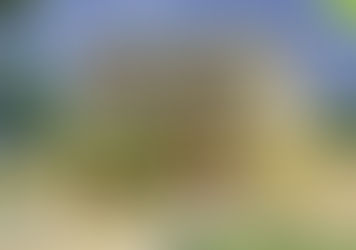 Small Contemporary Home at Pallipram