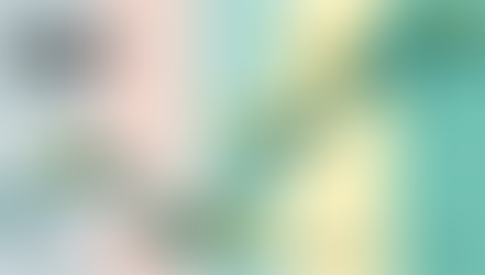 Présentation du modèle des Deux Collines : une grille de lecture des bascules écologiques