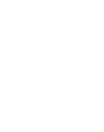 Apex Leadership Solutions logo in white, representing clarity and professionalism