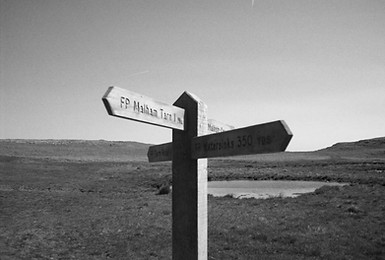 Which direction should I take
