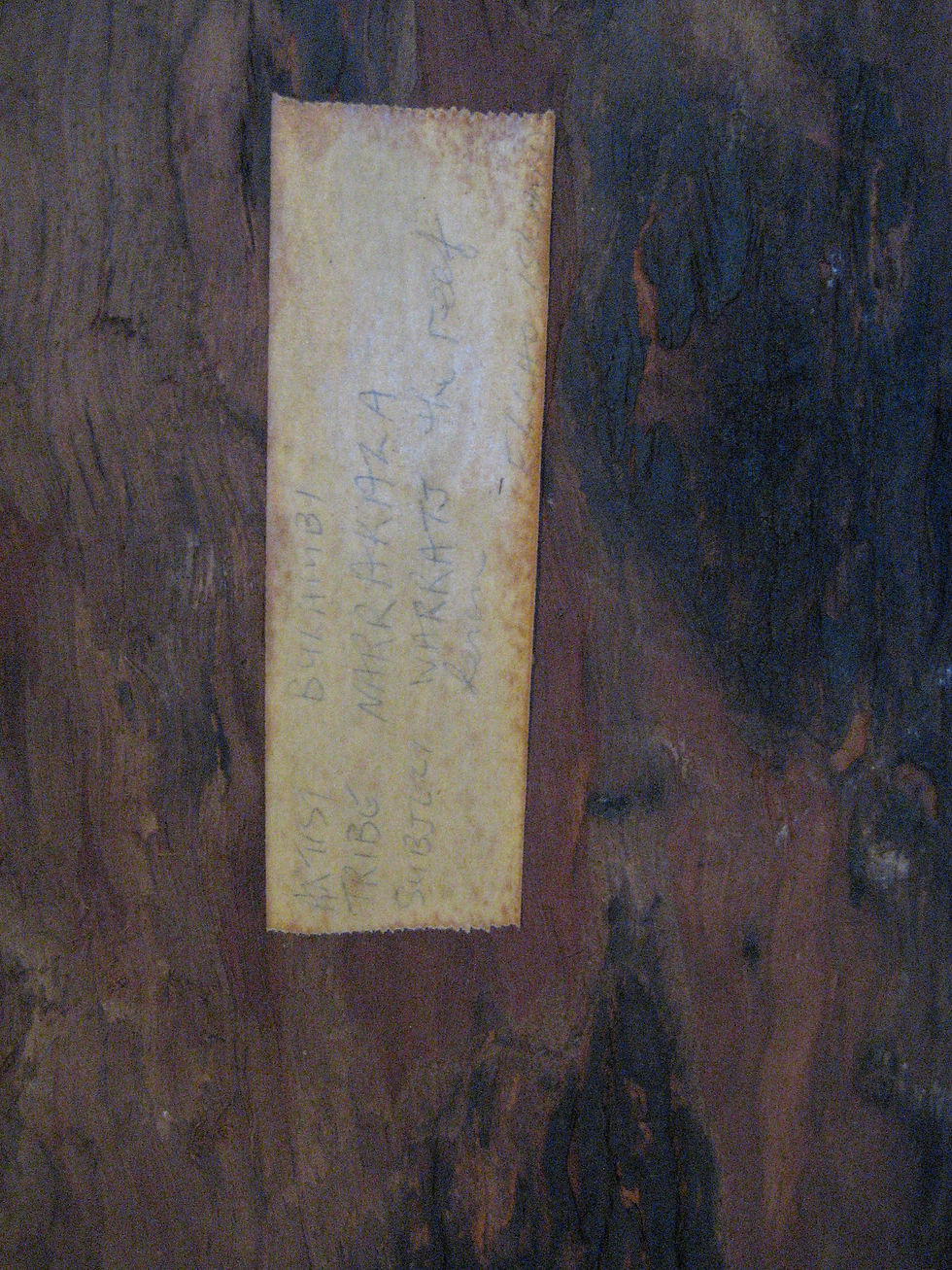 Thumbnail: Aborigional Bark Painting