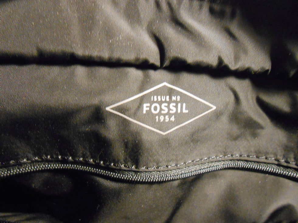 Thumbnail: Fossil brief case/Carry all