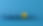 talent2.png