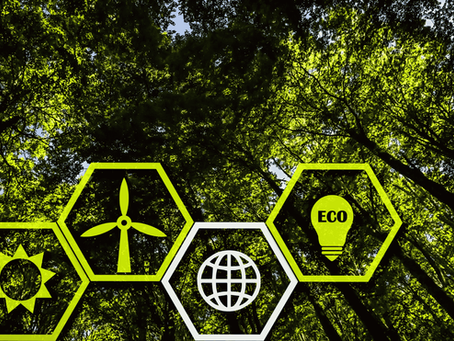 India Doubles Down on Green Energy