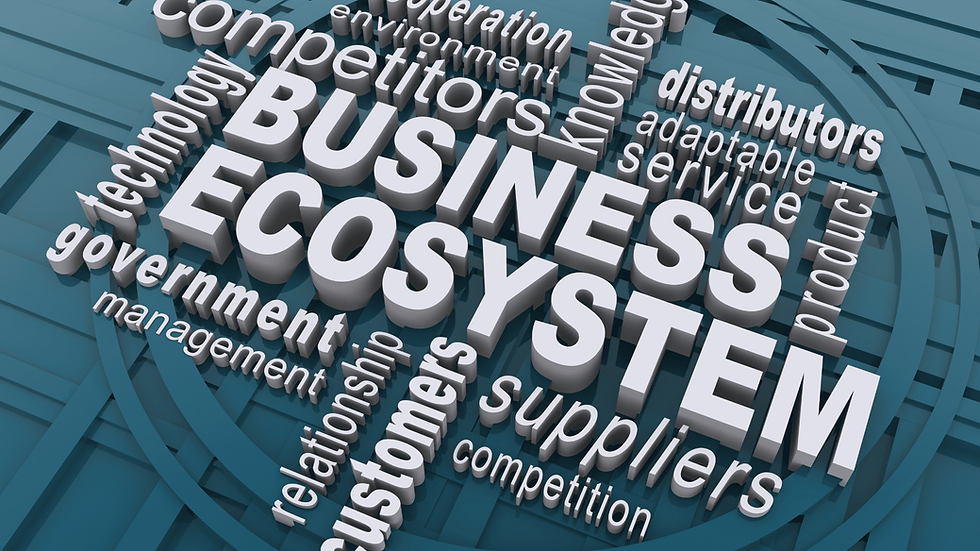 India Startup