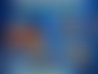 Progcap Nears Profitability