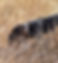 20241019_123618.jpg