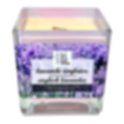 English lavender