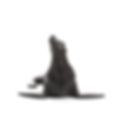 Sea ​​lion, black sculpture