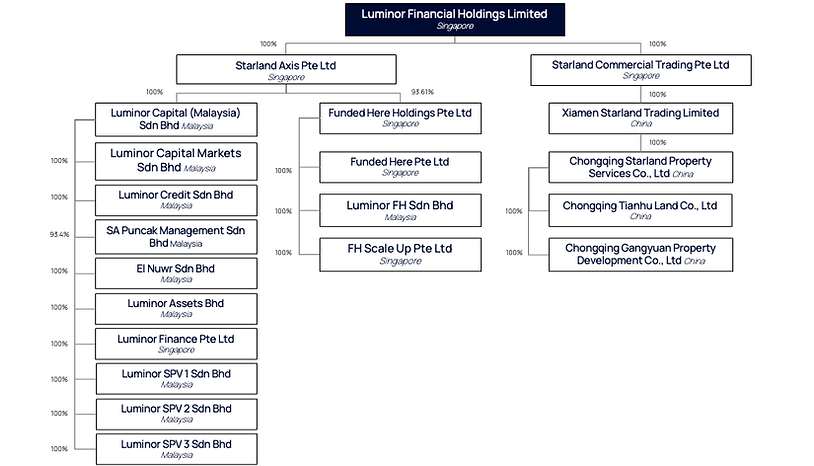 260401 LFHL Group Structure.png