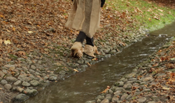 Screen Shot 2017-06-05 at 00.13.06