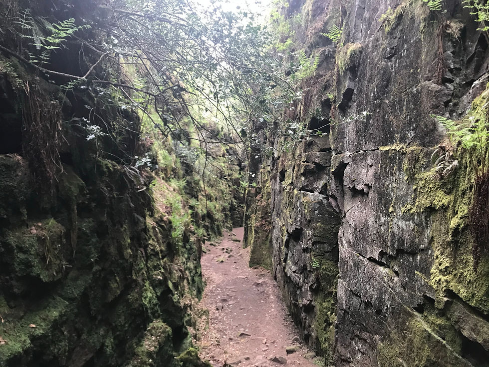 Ludd's Church, a narrow moss-covered chasm in the Dark Peak, Peak District, Staffordshire