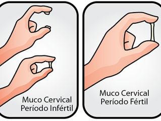 Método do muco / Método de Billings