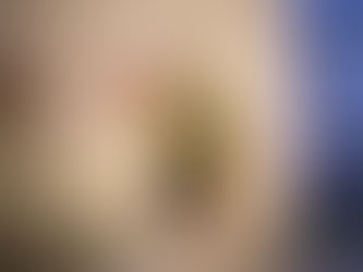 Nachhaltige Christbäume für unsere Schule