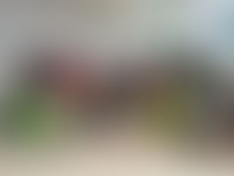 Villacher Bürgerfrauen