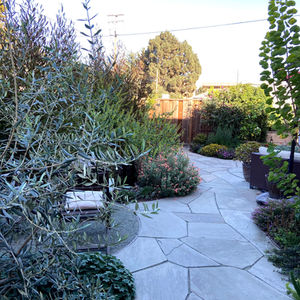 Alameda-small spaces