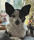 Suzie