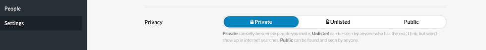 Screenshot showing the privacy settings options in the Buzzy Workspace