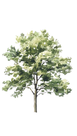 Herunterladen (98).png