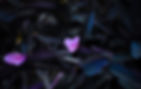 flowers.JPG
