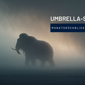 UMBRELLA-Strategie – Monatsrückblick November