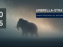 UMBRELLA-Strategie – Monatsrückblick November