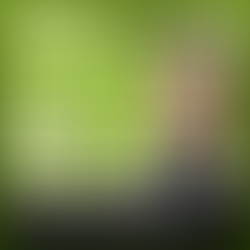 INSIDE UMBRELLA 12/25: Couch-Strategen: „Verrückt!“