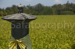 Safatography Portfolio-25