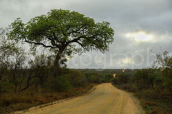 Safatography Portfolio-15