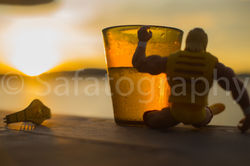 Safatography Portfolio-35