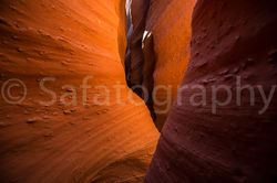 Utah Watermark-12