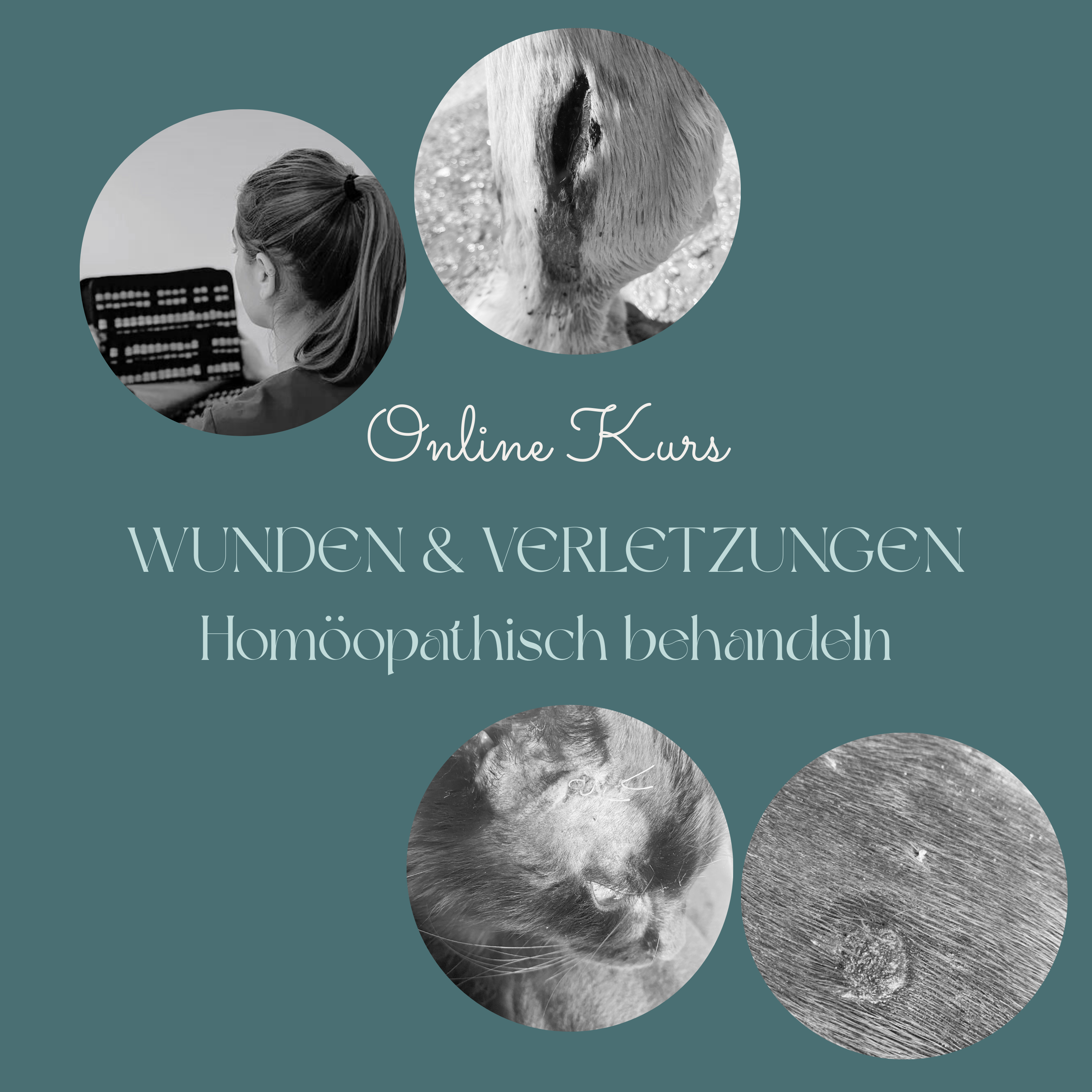 Wunden & Verletzungen Online Kurs