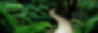 Meditation Guidance