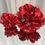 Thumbnail: Rani Floral Red Scrunchies