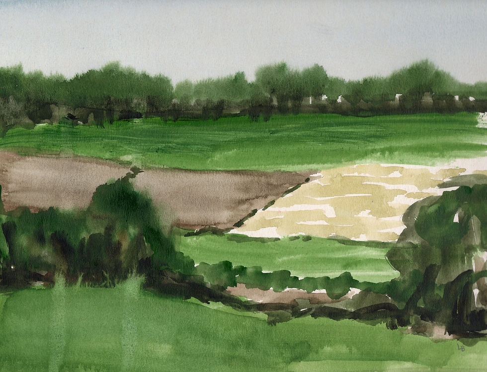 Zweite Wahl Landschaft