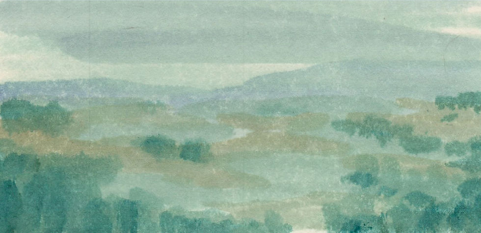 Summer Rain