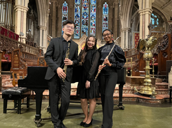The Aurum Trio
