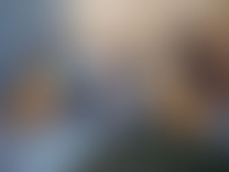 Interview & Photos: Tropical F*** Storm