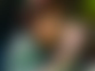 Photo Gallery: Scotty Sire