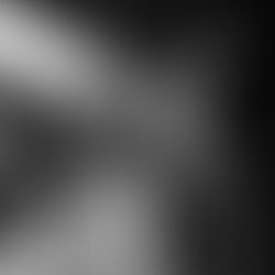 Photo Gallery: PROF