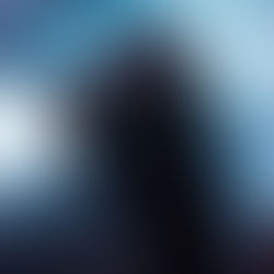 Photo Gallery: Nightly